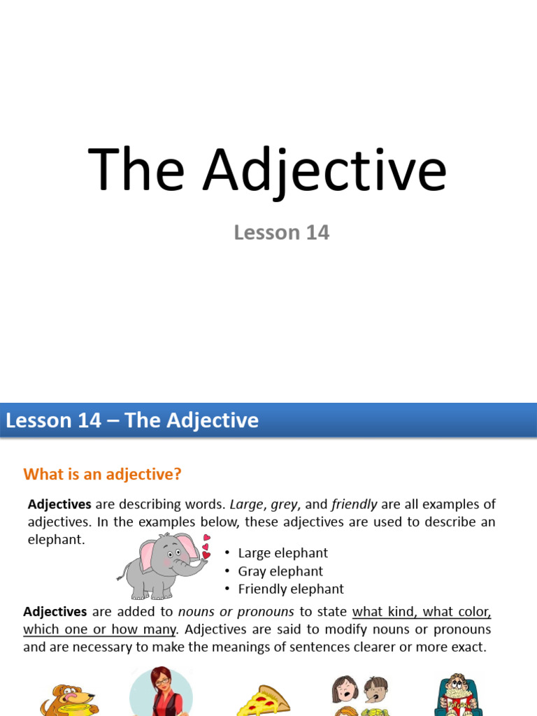 Lesson 14 - The Adjective | PDF | Adjective | Semantic Units
