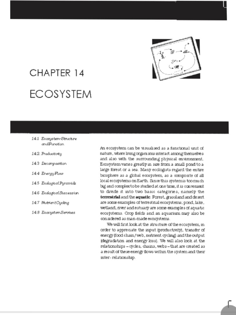 Chap 14 Ecosystem | PDF