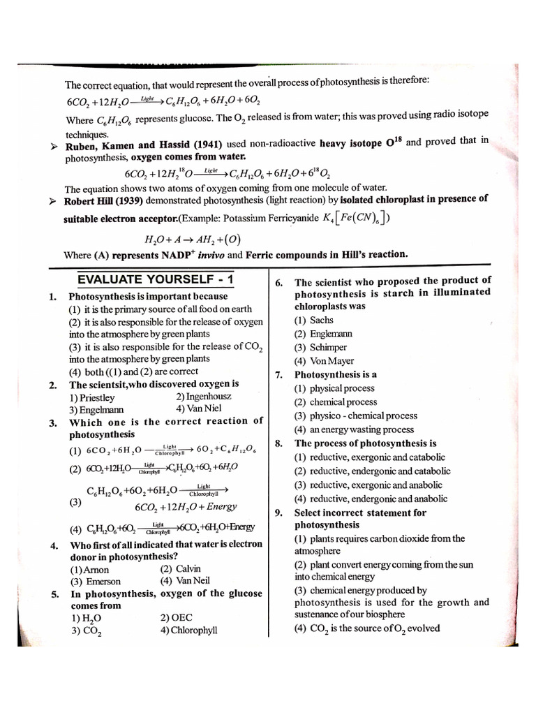 Photosynthesis Assignment Na | PDF