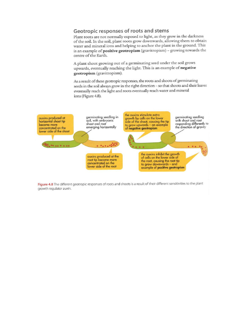 17.1 Comprehension Task | PDF