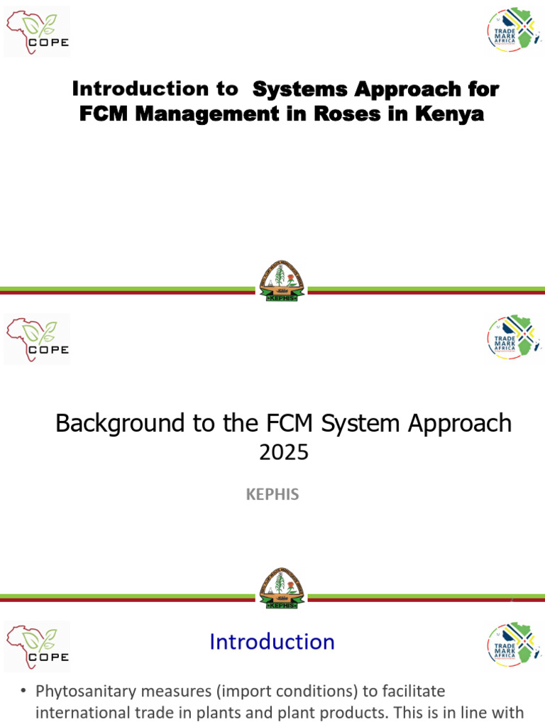 Introduction To FCM Systems Approach | PDF