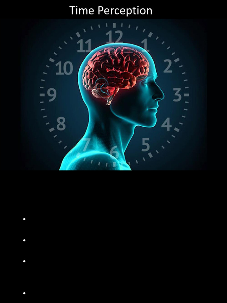 Week 11 Time Perception | PDF | Time Perception | Dopamine