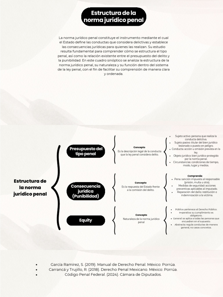 Estructura de La Norma Jurídico Penal | PDF | Derecho penal | Ley Pública