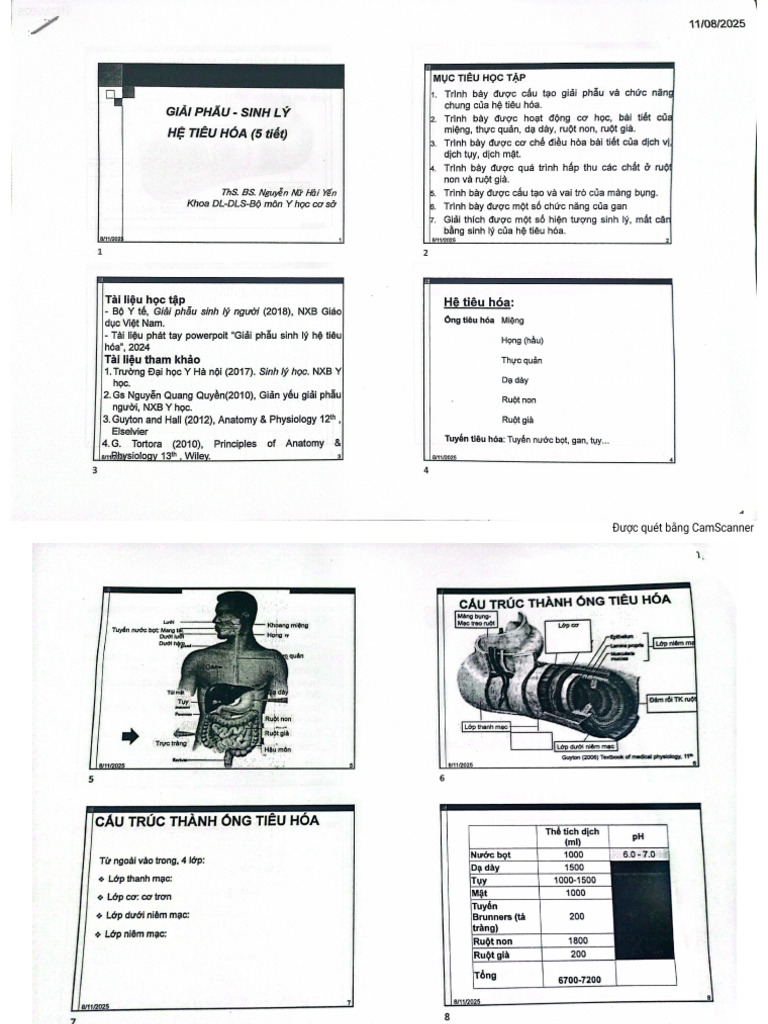 gpsl hệ tiêu hóa - 1 | PDF