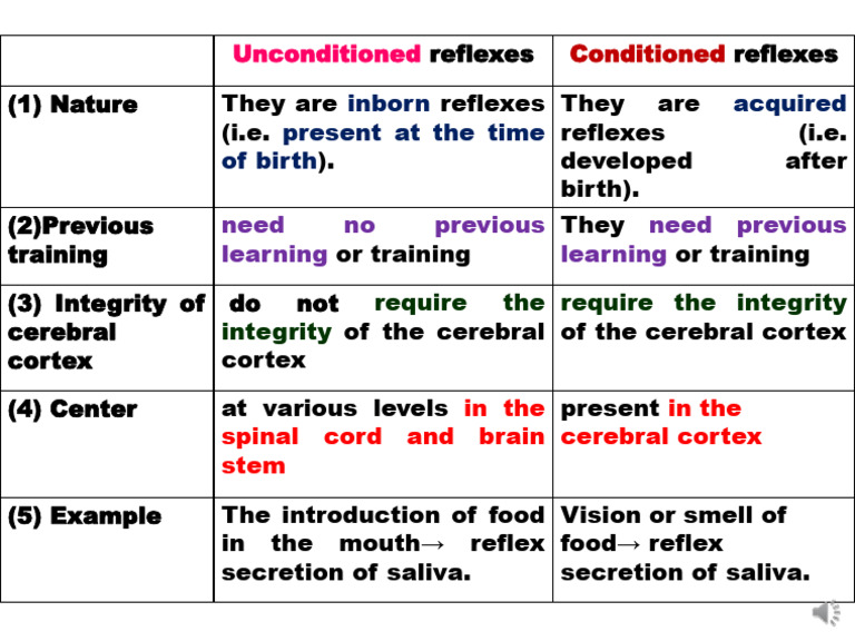 Extracted Pages From Lecture 1A Motor NS | PDF
