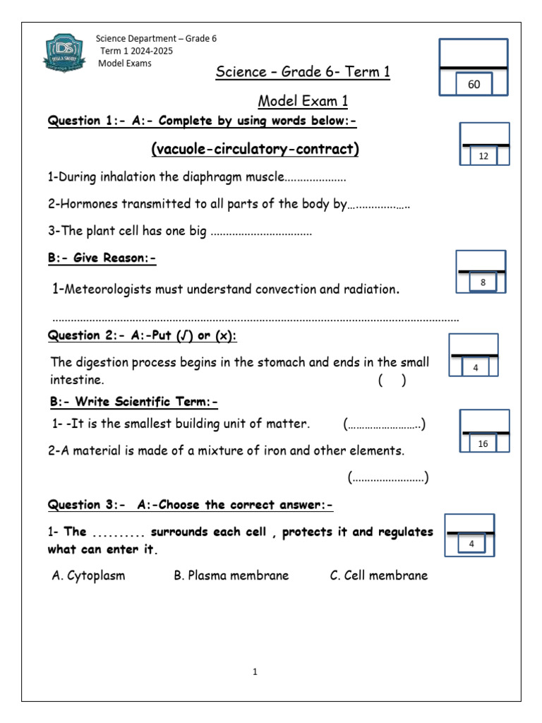 Model Exam Grade 6 | PDF | Temperature | Cell (Biology)
