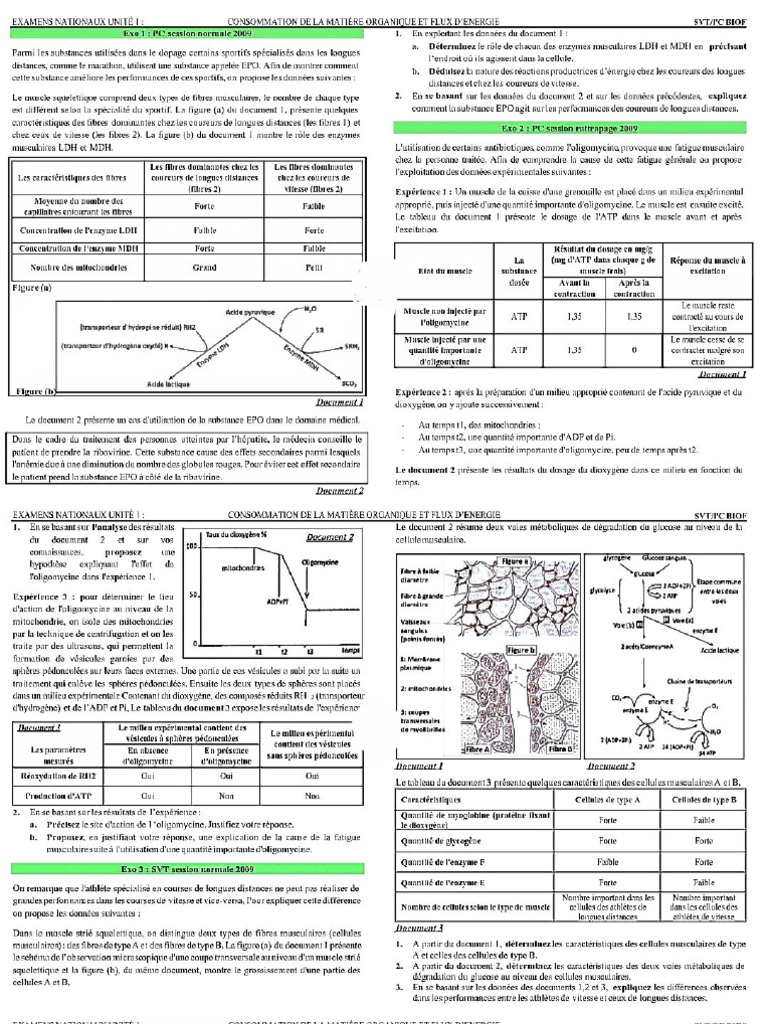 Uis | PDF