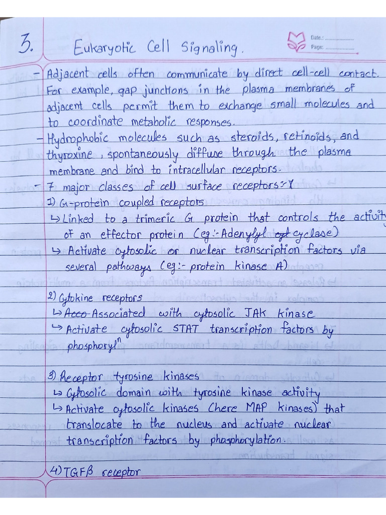 Arpita - Brinda Mam's Notes | PDF