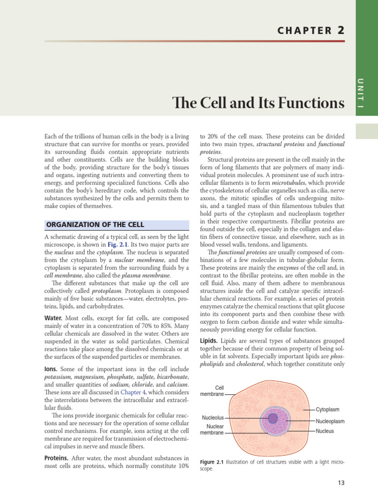 GUYTON Chapter 2 (The Cell and Its Functions) | PDF | Endoplasmic ...