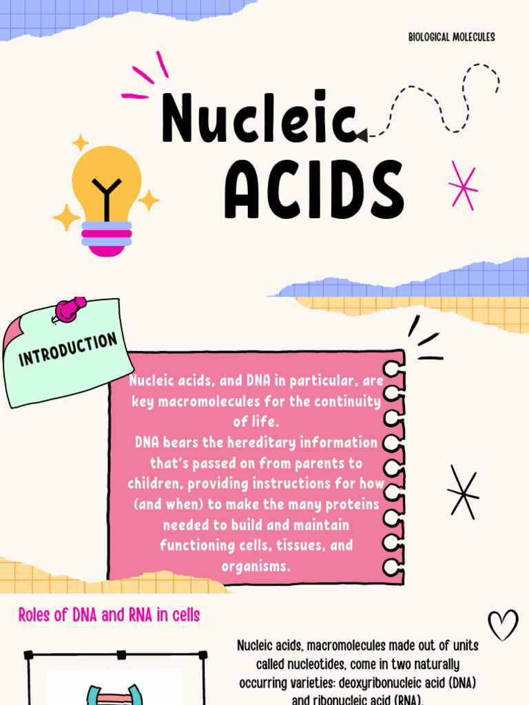 Intro To Nucleic Acids | PDF | Cell (Biology) | Nucleic Acids