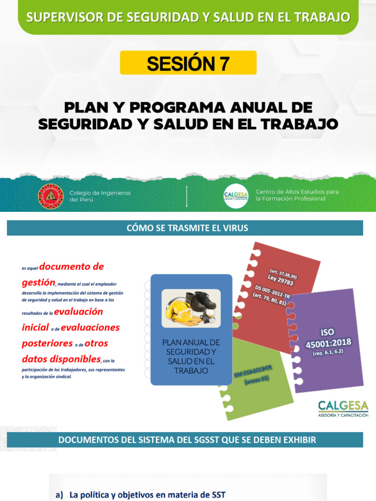 SESIÓN 07 - Plan y Programa Anual de Seguridad y Salud en El Trabajo ...