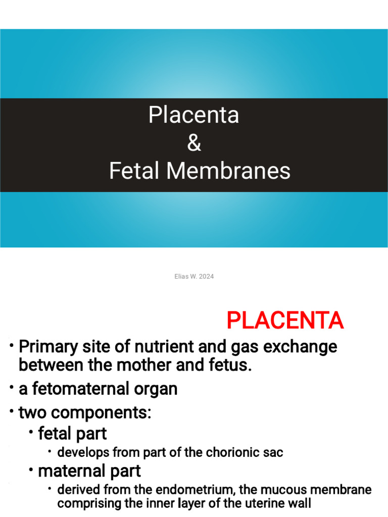 Placenta and Fetal Membrane HO | PDF | Placenta | Twin