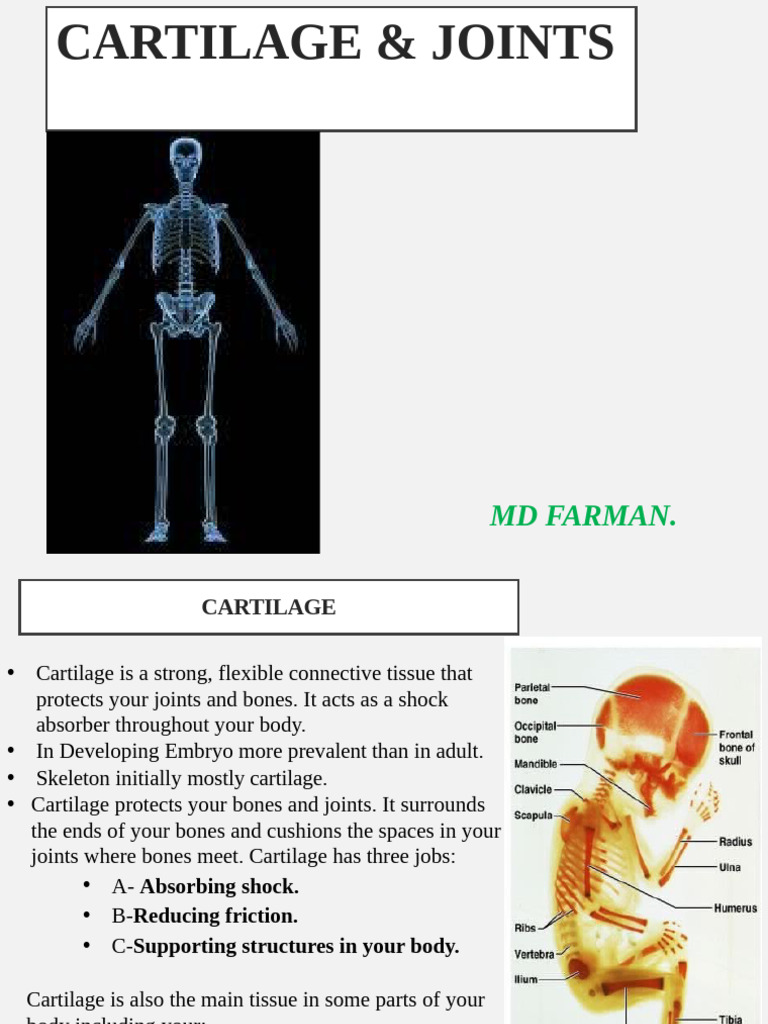 Cartilage & Joints | PDF | Joint | Anatomical Terms Of Motion