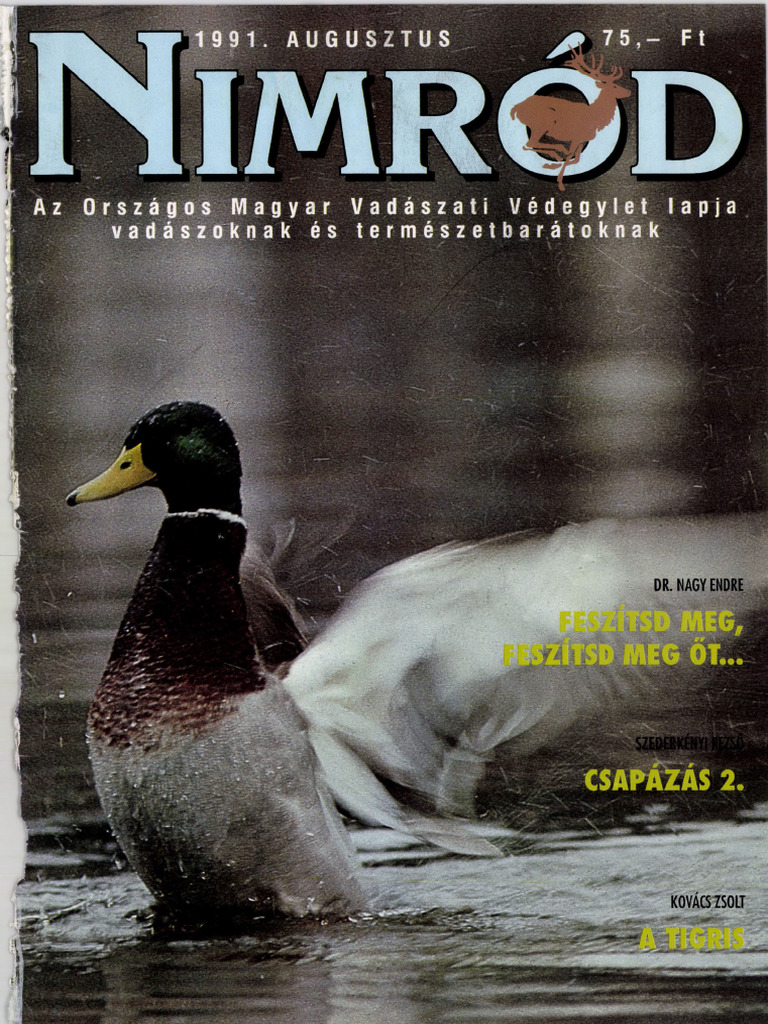 Nimrod 1991-08 | PDF
