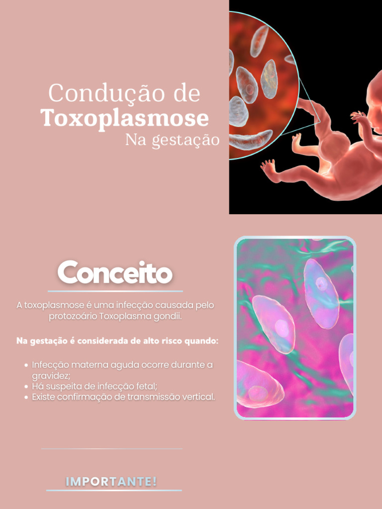 Toxoplasmose Na Gestação | PDF | Remédio | Imunologia