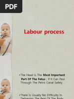 Fetal Positioning and Presentation Guide | PDF | Pelvis | Anatomical ...