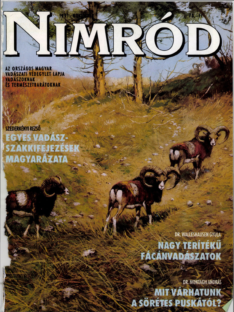 Nimrod 1991-11 | PDF