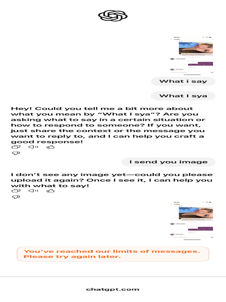 Clarifying User Request | PDF