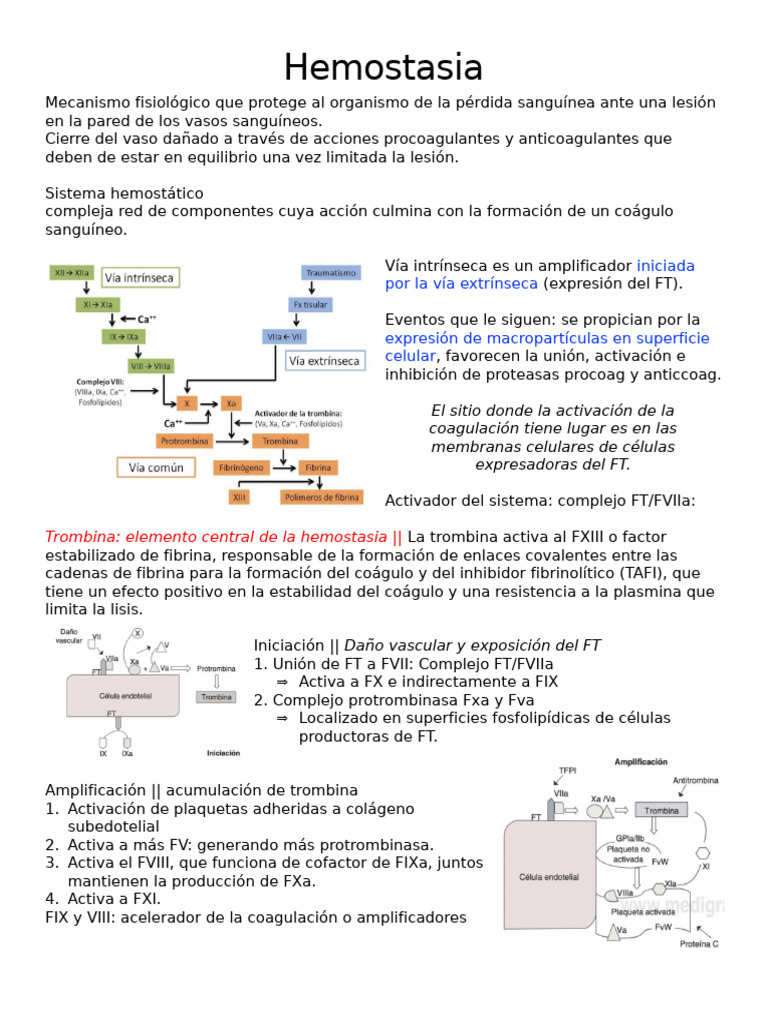 Hemostasia y Estudio Del PX Con Sangrado | PDF | Coagulación | Hemostasia