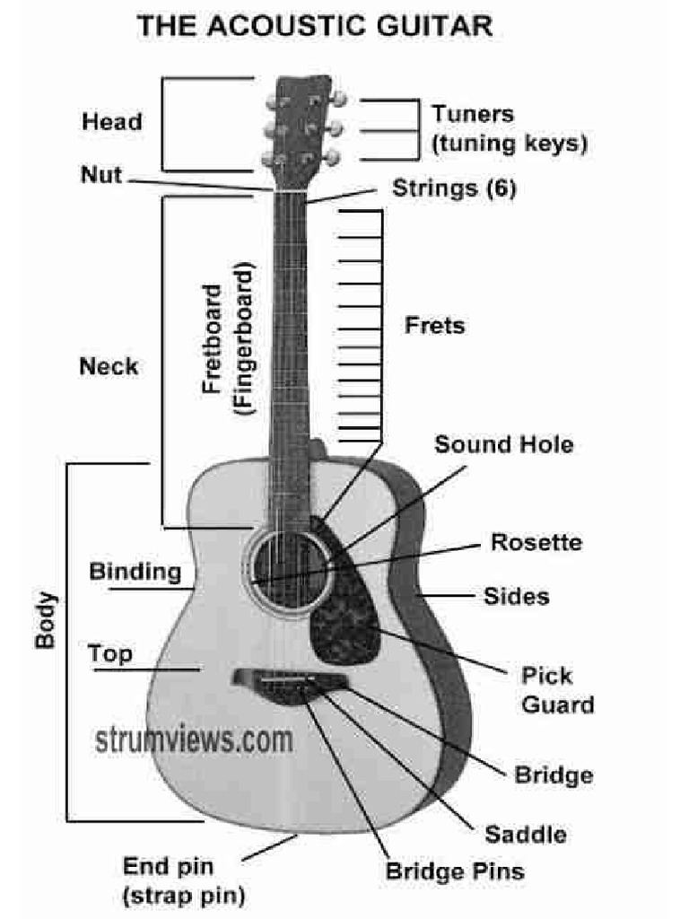 Guitar Basic | PDF