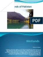 Wetlands of Pakistan