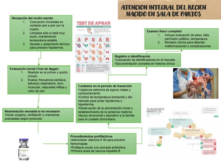 Atencion Integral Del Recien Nacido en Sala de Partos | PDF | Infantes ...