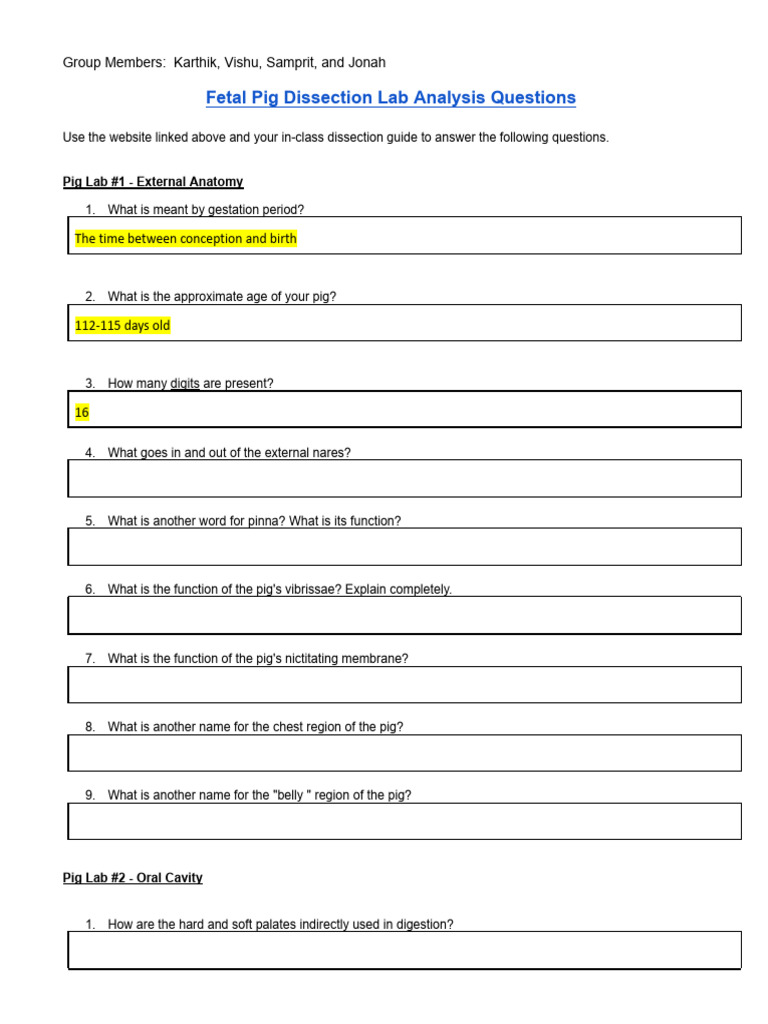 Fetal Pig Analysis Questions 24-25 | PDF | Respiratory System | Lung