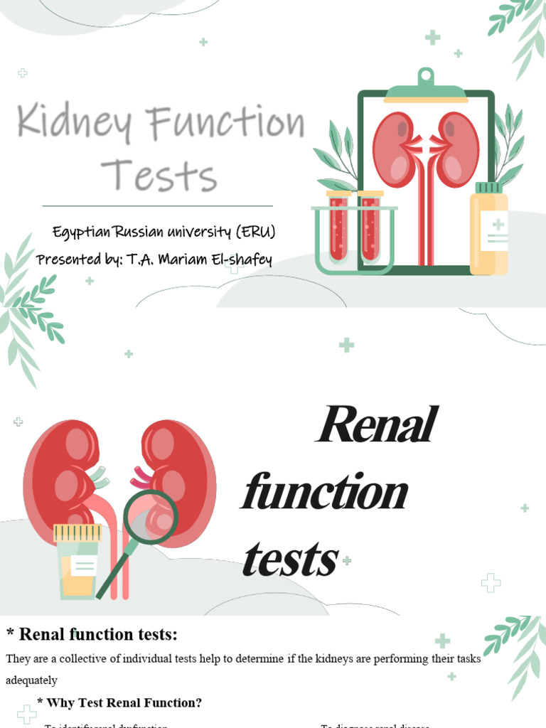 Kidney Function Tests (Spring 2026) | PDF | Creatinine | Kidney