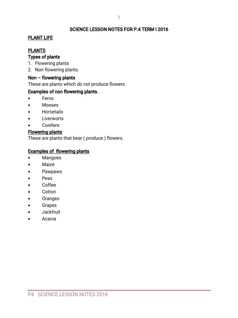 P4 Science Lesson Notes .................... | PDF | Plant Morphology ...