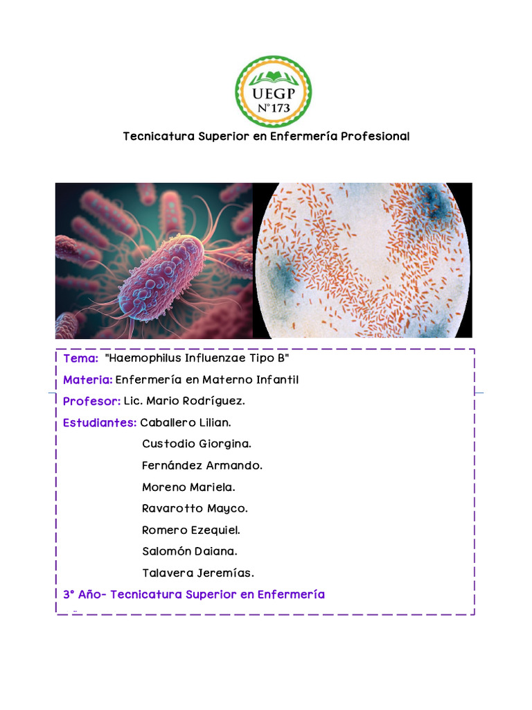 HiB Haemophilus Influenzae Tipo B | PDF | Biología | Medicina CLINICA