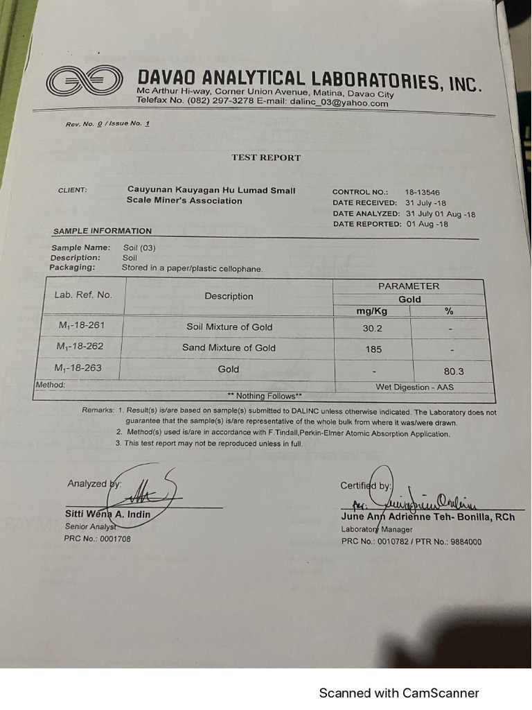 Cauyunan Assay and Survey Report | PDF