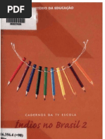 Indios No Brasil 2