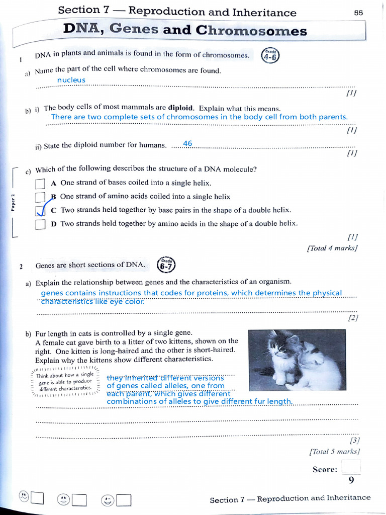 Lesson 3 Homework | PDF