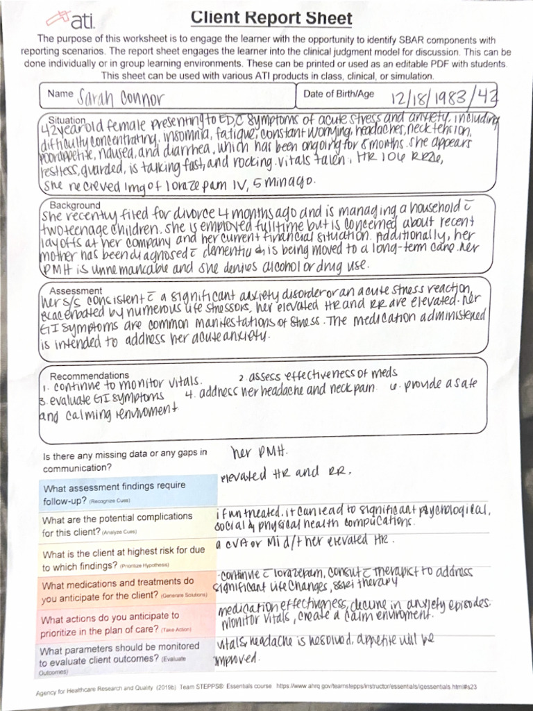 Client Report Sheet | PDF