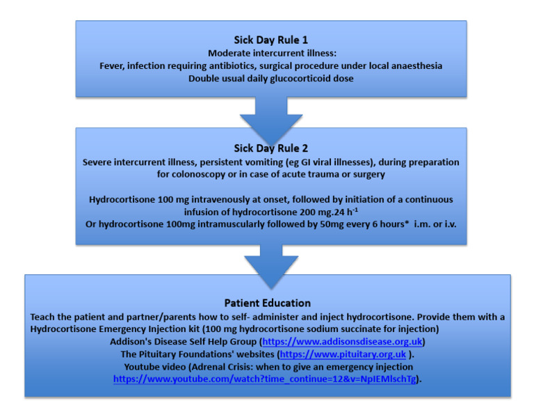 Sick Day Rules | PDF