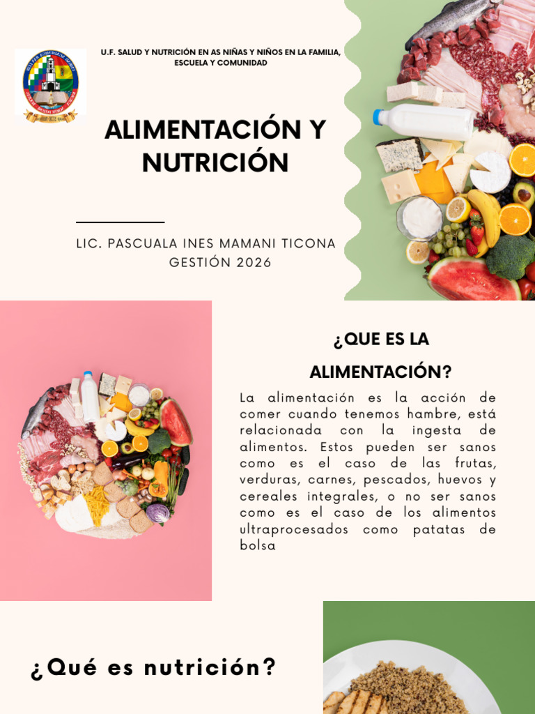 Tema N°2 Alimentacion y Nutrición | PDF | Nutrición | Dieta y nutrición