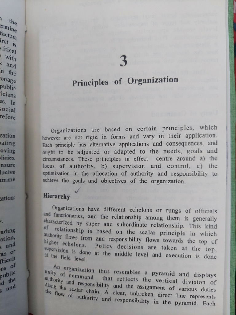 Principles of Organization | PDF