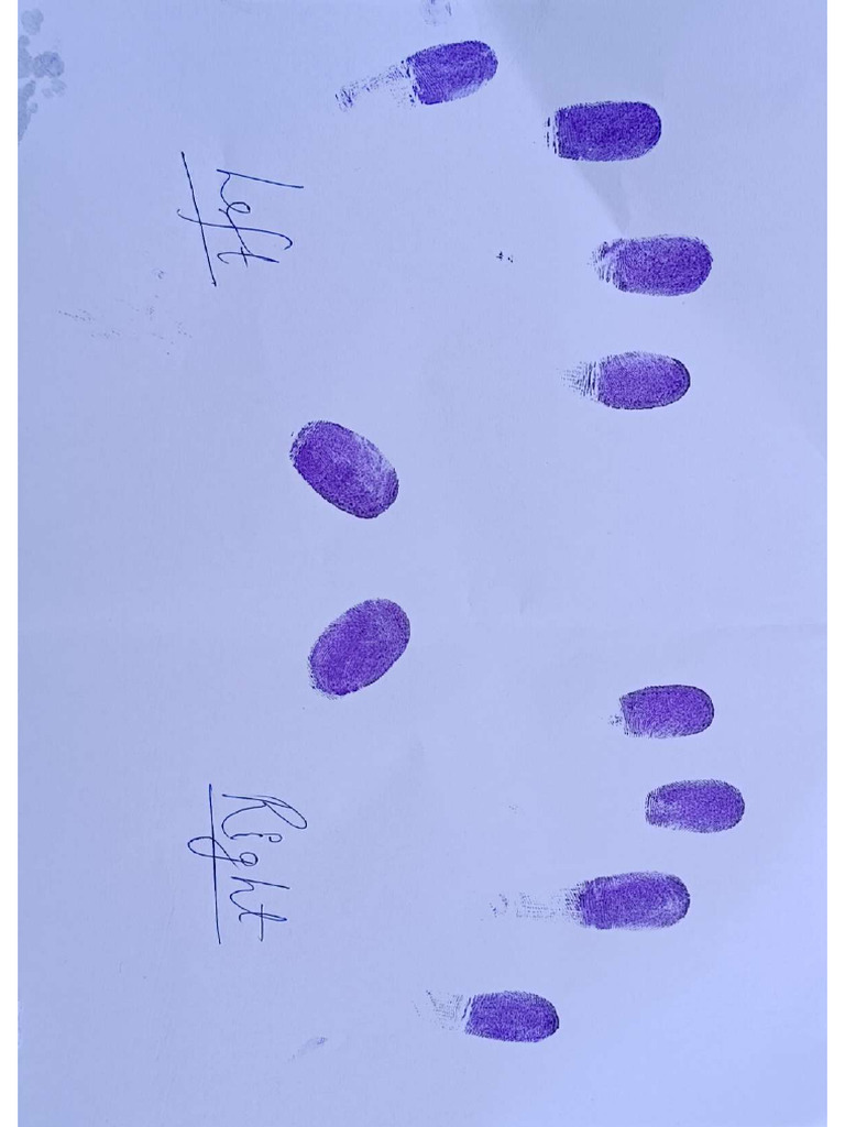 Fingure | PDF