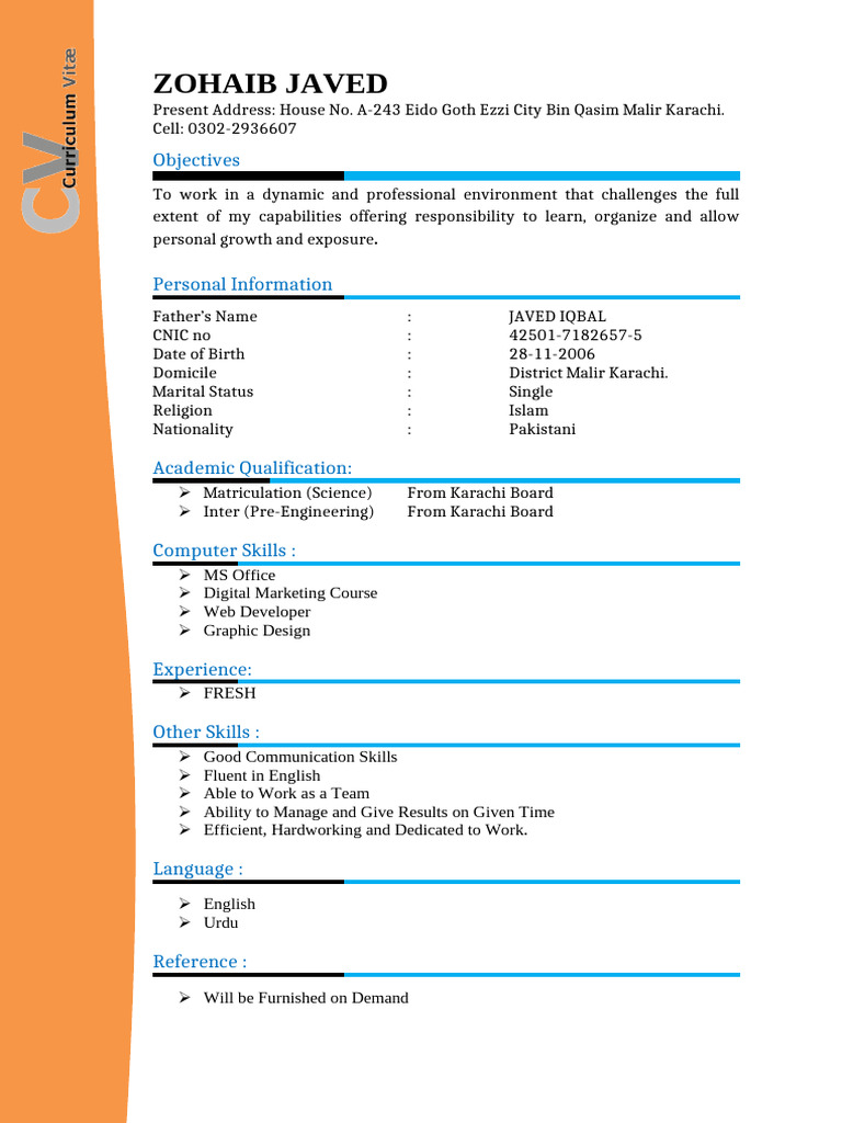 CV Colour | PDF