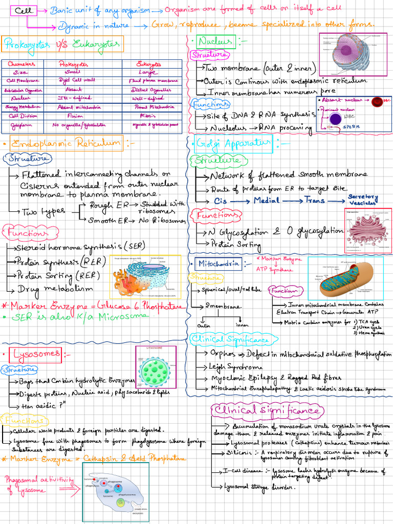 Cell and Sub Cellular Organelles | PDF