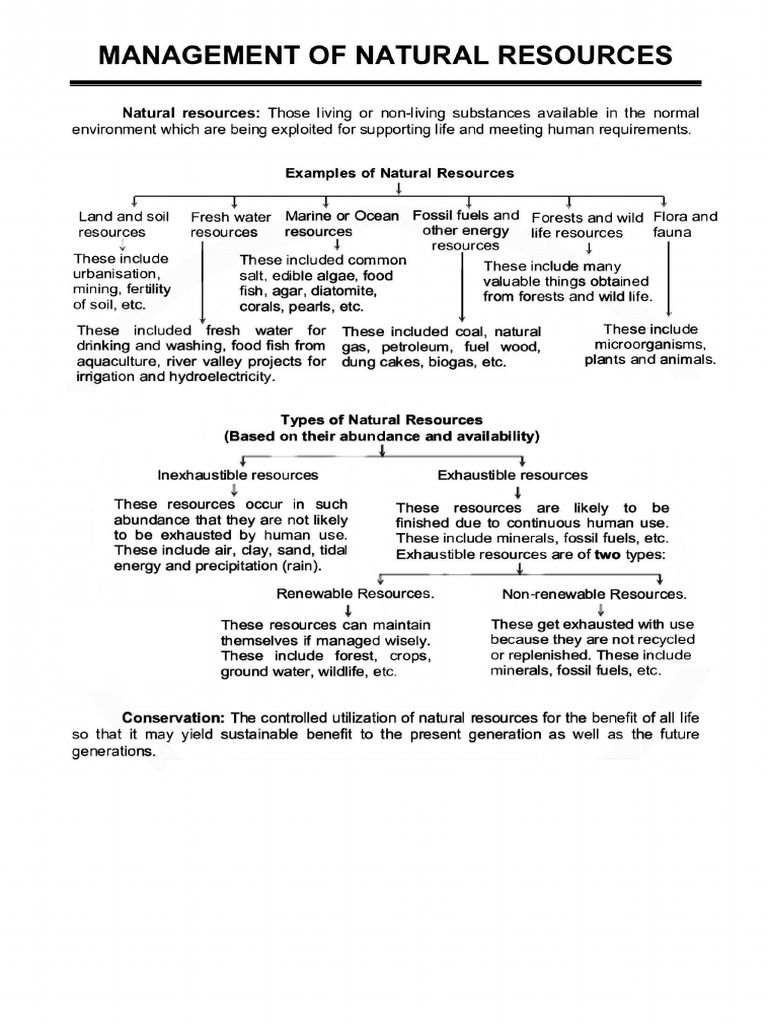 Selfstudys Com File | PDF