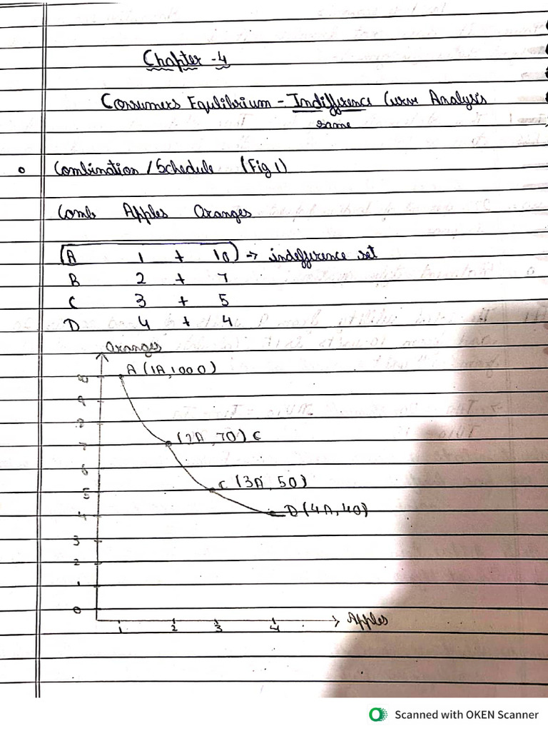 Chapter 4 Microeconomics Hand Written Notes | PDF