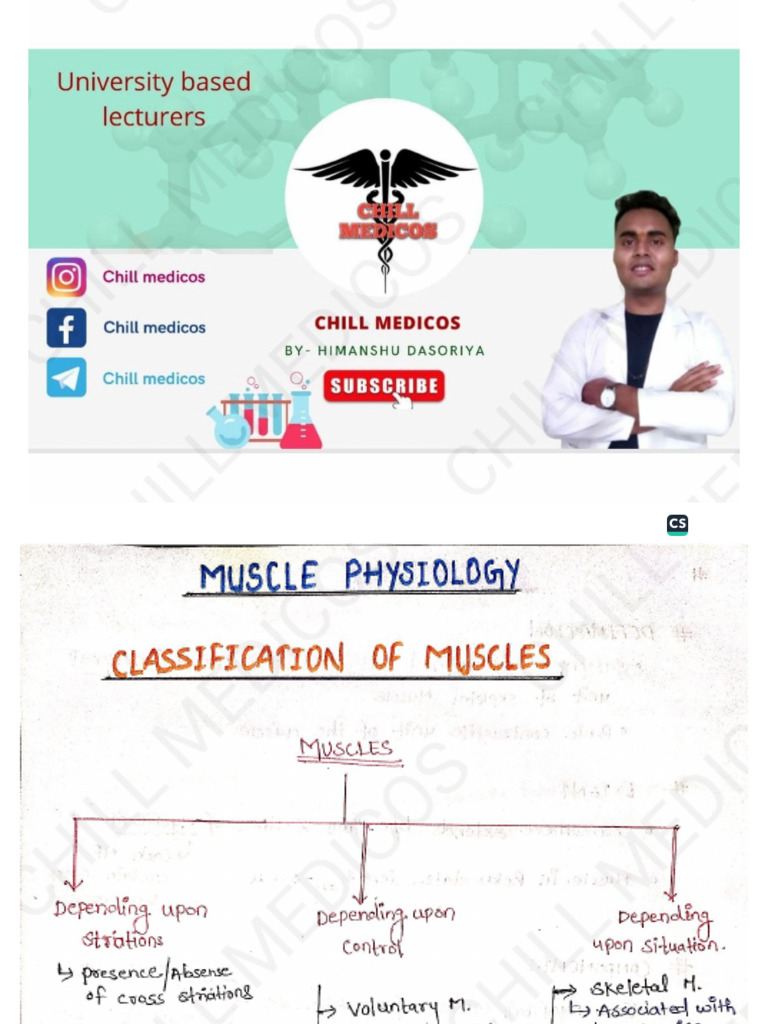 Chill Medicos Physiology Notes | PDF