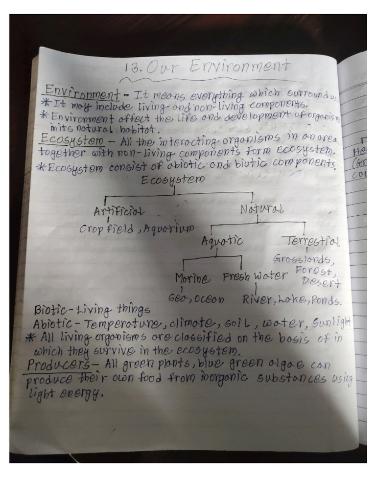 Class 10 Science Our Environment Notes | PDF