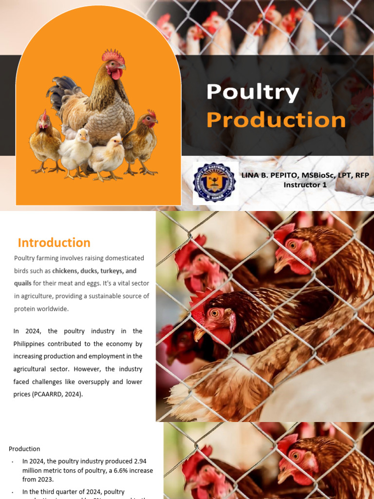 1 Broiler Production and Digestive System | PDF | Human Digestive ...