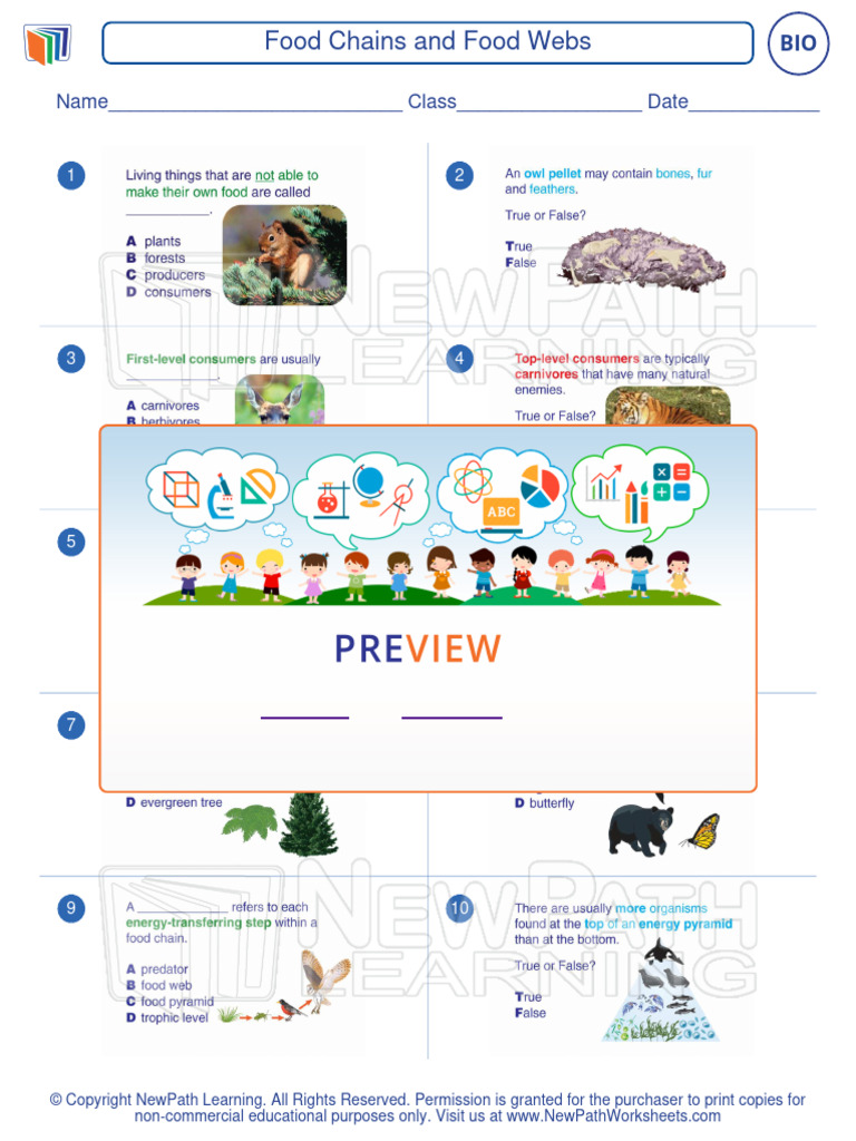 Worksheet Biology High School Food Chains and Food Webs 2029 0 | PDF