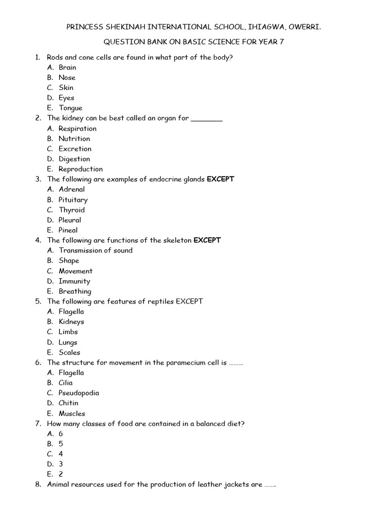 Basic Science Year 7 | PDF | Rock (Geology) | Soil