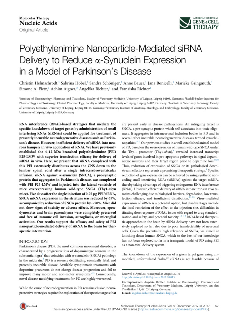 Main | PDF | Small Interfering Rna | Rna Interference