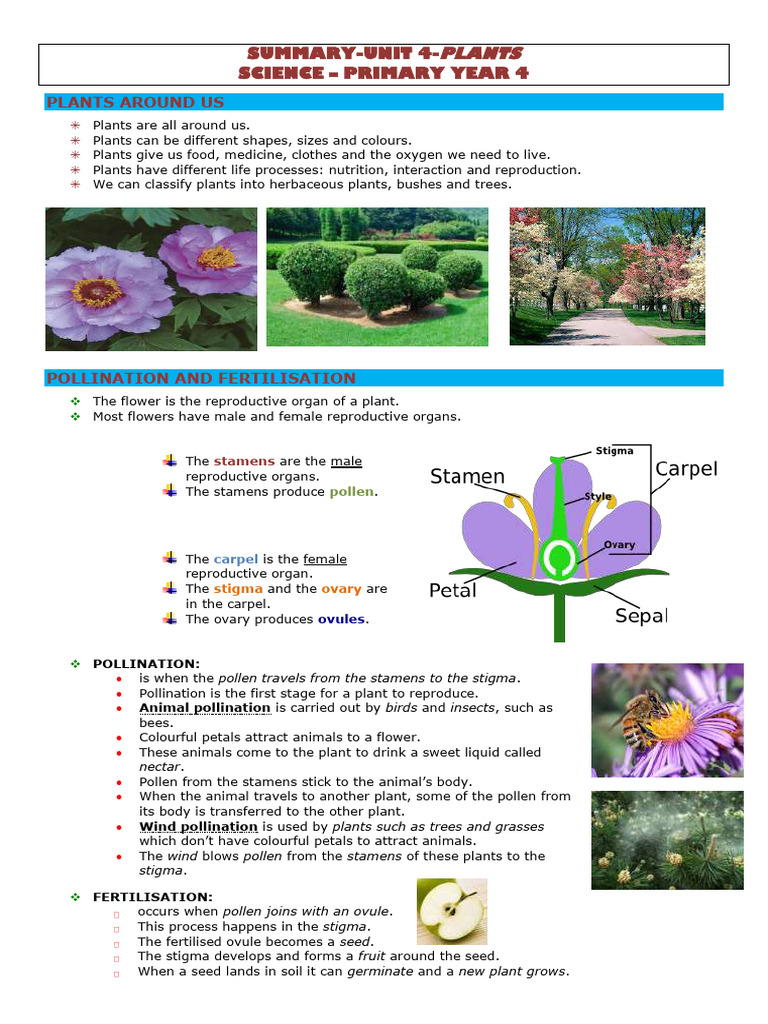 Unit 4 - Summary | PDF | Plants | Flowers