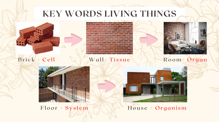 Key Words Living Things | PDF